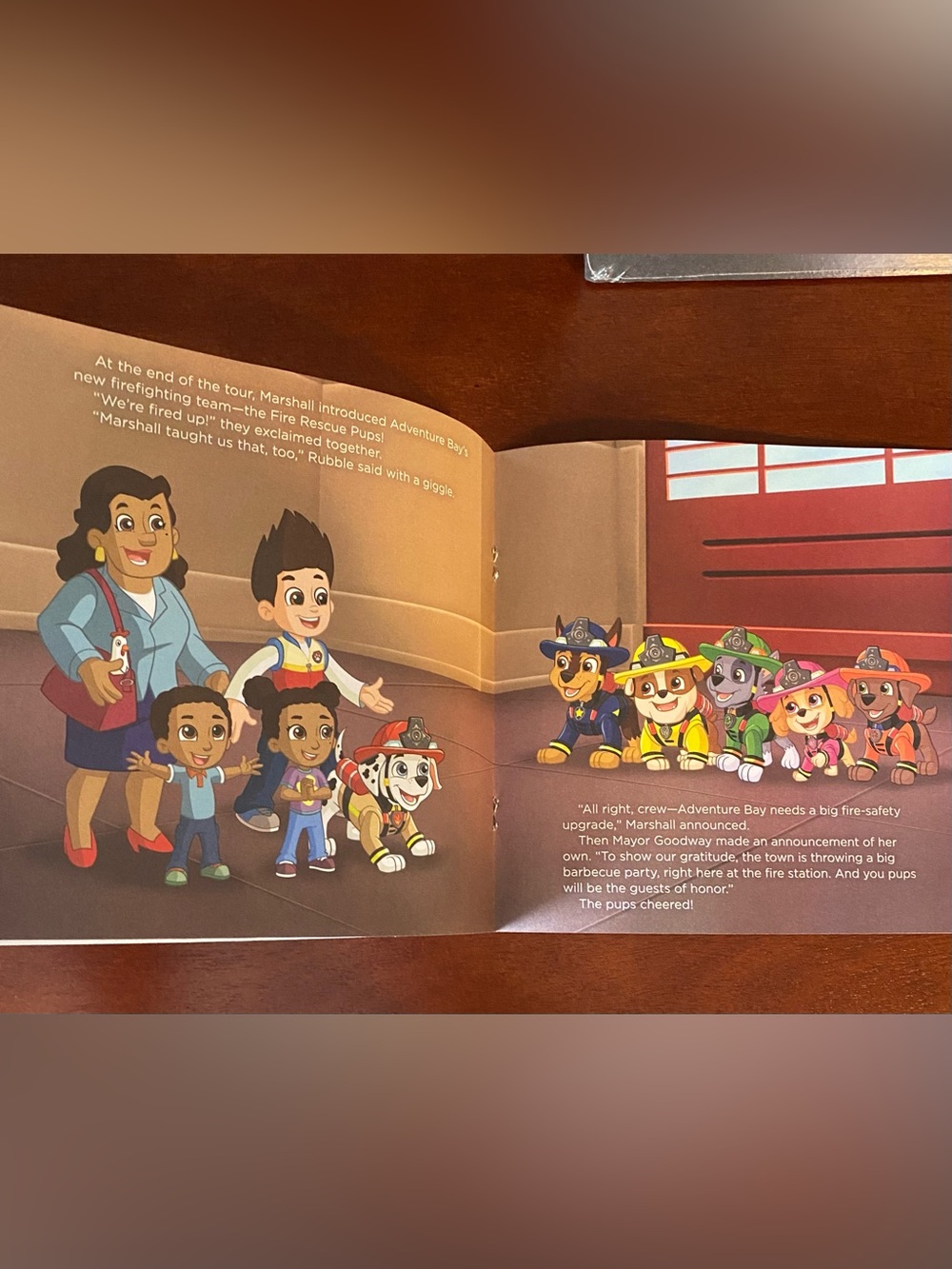 Kids Paperback Set - Paw Patrol Fire Rescue & The Berenstain Bears - Picture 6 of 9